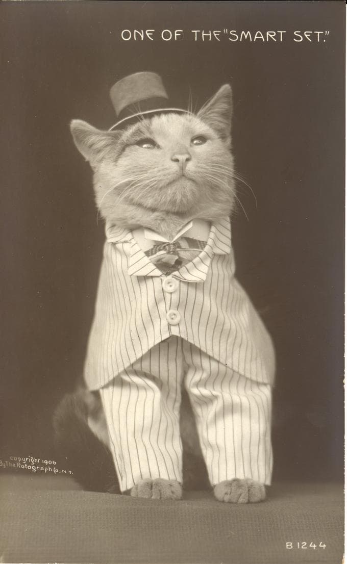 The original 1906 postcard of the ARISTOCAT mascot, captioned One of the “Smart Set”, by the Rotograph Co.
